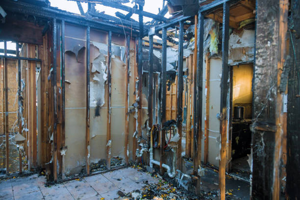 Professional Fire Damage Removal technician working in Newport, OH